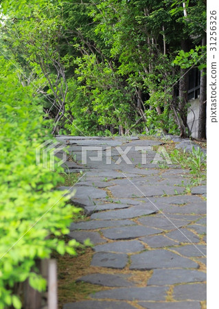 春天公園的石板路 31256326