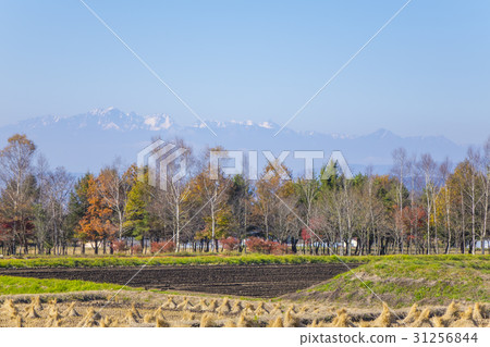 Distant view of Northern Alps from Harumura 31256844