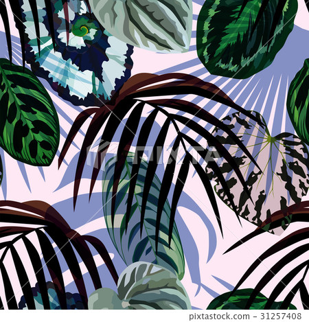 leaves monstera palm pattern 31257408