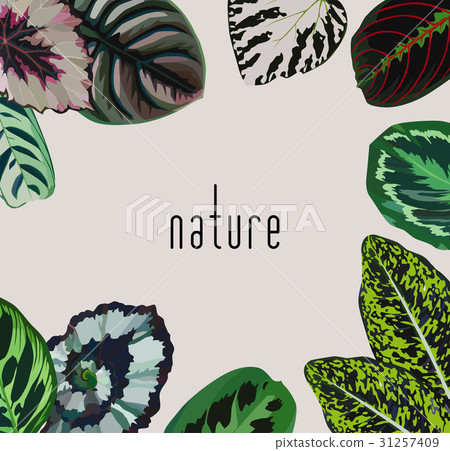 Slogan nature leaves frame 31257409