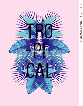 tropical leaves mirror illustration 31257411