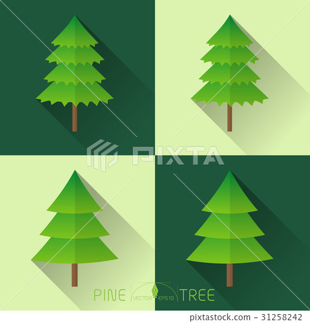 Pine tree Vector 31258242