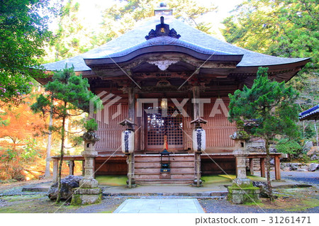 Kozo Temple (Sasayama city, Hyogo prefecture) Autumn leaves in the precincts Kozo Temple (Sasayama city, Hyogo prefecture) Autumn leaves in the precincts 31261471