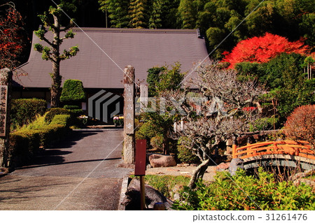 Kozo寺(筱山市,兵庫縣)秋葉在區 Kozo寺(筱山市,兵庫縣)秋葉在區 31261476