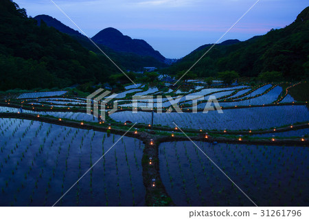 Rice terrace of Izu Ishibe Rice terrace of Izu Ishibe 31261796