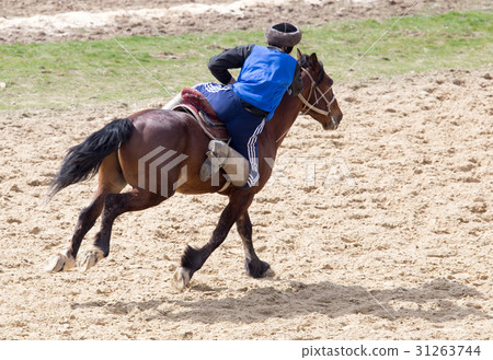 Man rides a horse in the nature 31263744