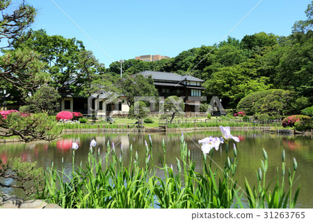 初夏（6月）東京都文京區的細川花園 31263765