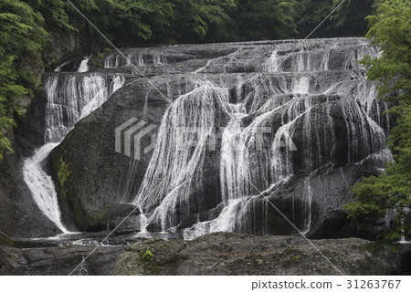 Fukuroda瀑布的頂行 31263767