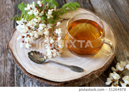 Herbal tea and  flowering acacia  31264978