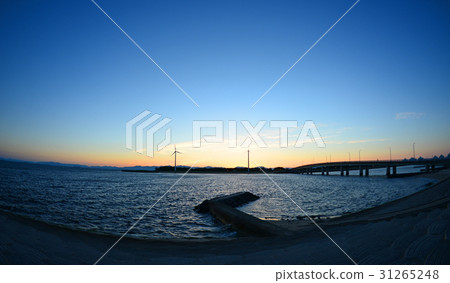 晚上的風景 31265248