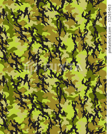 camouflage pattern, seamless 31265463