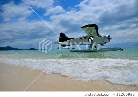 Cessna of Whitehaven Beach 31266988
