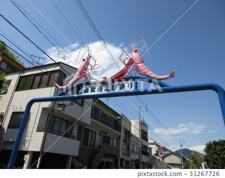 Yui Sakura Shrimp Street, Shimizu Ward, Shizuoka City Yui Sakura Shrimp Street, Shimizu Ward, Shizuoka City 31267726