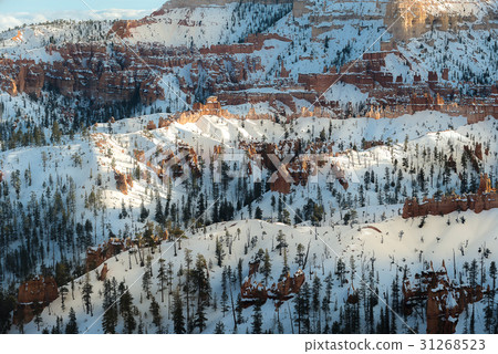 Bryce Canyon in the winter, Utah USA 31268523