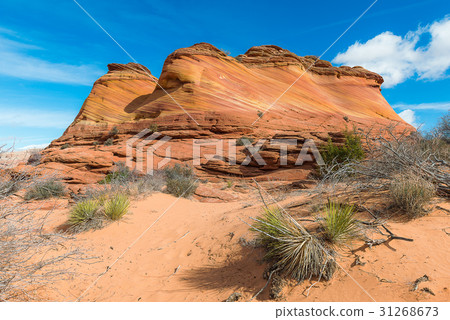 The Wave, Amazing Sandstone in Arizona The Wave, Amazing Sandstone in Arizona 31268673