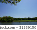 Lake and blue sky 31269150