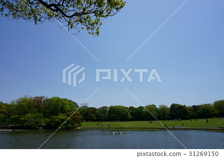 湖和藍天 31269150