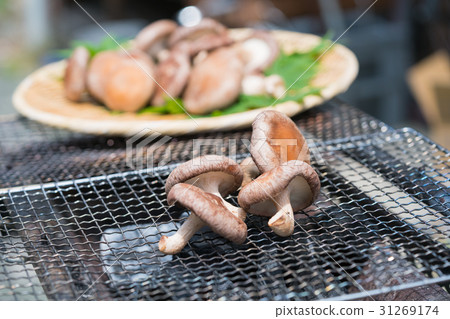 Grilled Shiitake 2 Grilled Shiitake 2 31269174