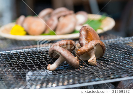 Grilled Shiitake Mushroom 8 Grilled Shiitake Mushroom 8 31269182