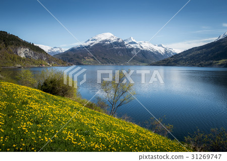 Springtime in Norway 31269747