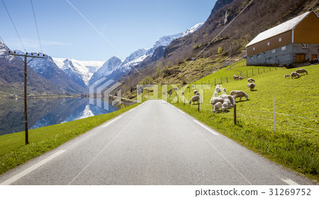Country road in Norway Country road in Norway 31269752