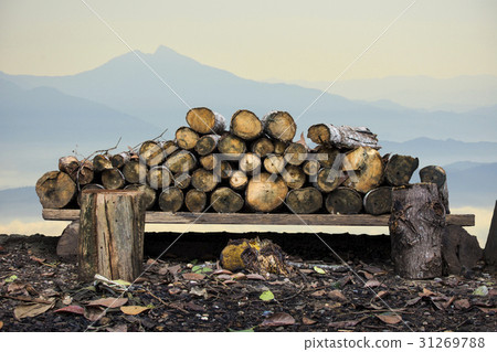 Natural wooden logs stacked. pile of wood logs Natural wooden logs stacked. pile of wood logs 31269788