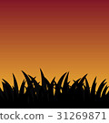 Grass and sky 31269871