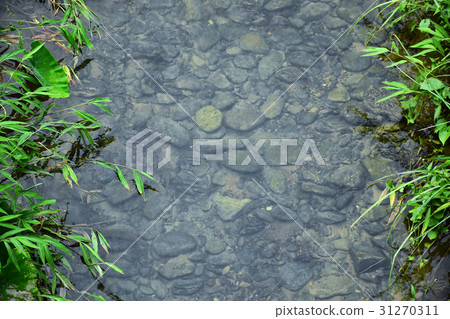 River stream with rocky in clear water. 31270311