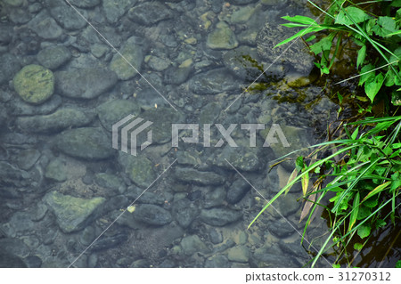 River stream with rocky in clear water. 31270312