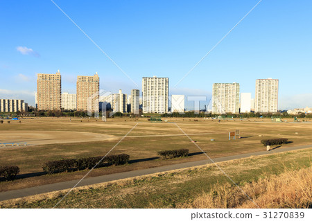 [東京·神奈川]城市景觀（多摩川河床，冬季版） 31270839