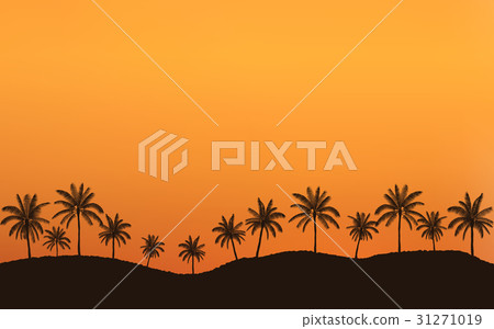 Silhouette palm tree on hill at sunset sky 31271019