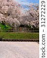 Hirosaki Castle Cherry Blossom Festival _2017 31272229
