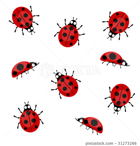 Ladybugs on a white background Ladybugs on a white background 31273266