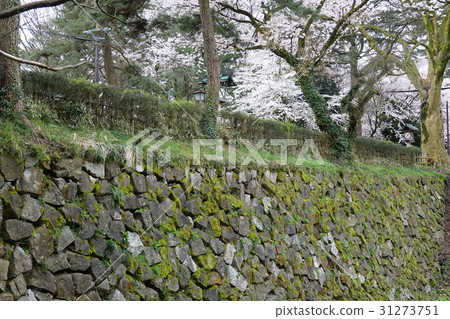 Takaoka Old castle park 31273751