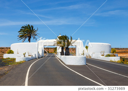 road with white gate and palm trees, Lanzarote 31273989