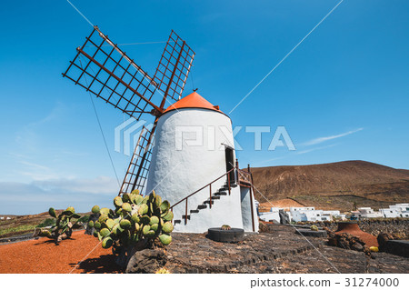 Windmill on blue sky background in cactus garden Windmill on blue sky background in cactus garden 31274000