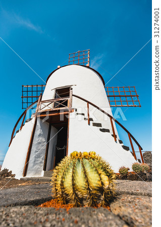 Windmill on blue sky background in cactus garden Windmill on blue sky background in cactus garden 31274001