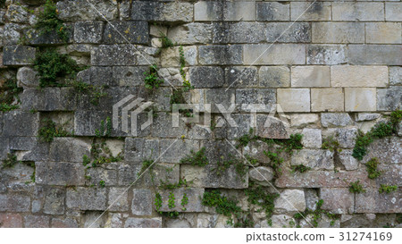 old grungy texture, concrete wall 31274169
