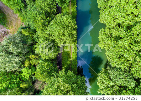 Rhone - Rhine Canal near Strasbourg - France 31274253