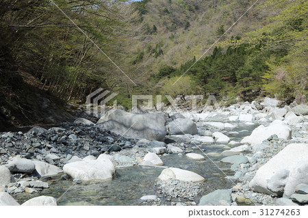 Kappokuragawa flowing through Yushin Valley Kappokuragawa flowing through Yushin Valley 31274263