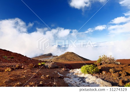 Stunning landscape of Haleakala volcano area Stunning landscape of Haleakala volcano area 31274329