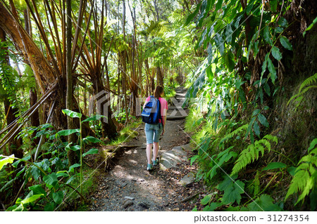 Tourist hiking on Kilauea Iki trail Tourist hiking on Kilauea Iki trail 31274354