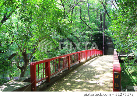 Tama River Tai Park Hongqiao 31275172