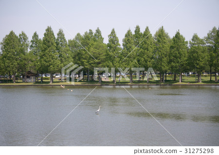 Mizumoto Park Tokyo Katsushika ku Mizumoto Park Tokyo Katsushika ku 31275298