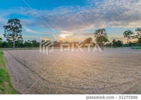 Abstract soft focus the silhouette of the sunset w Abstract soft focus the silhouette of the sunset w 31275986