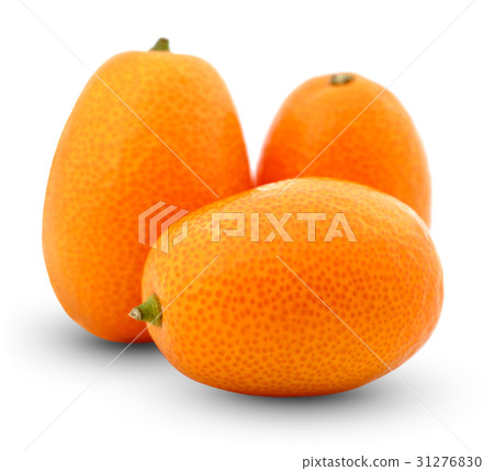 Kumquat fruit isolated Kumquat fruit isolated 31276830