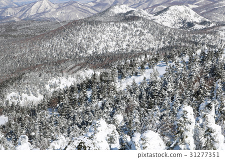 從橫手山峰登山 31277351