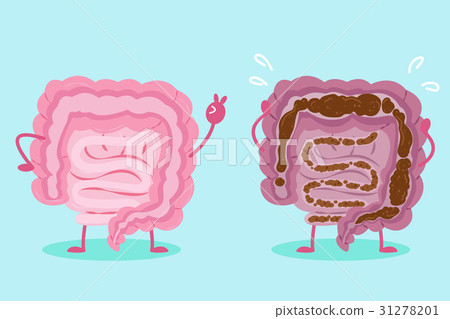 intestine with health concept 31278201