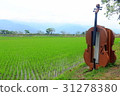Concert on the field 31278380