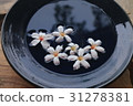 Panzhong Zen 31278381